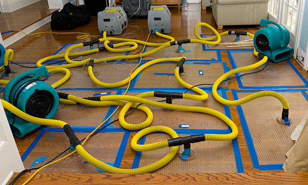 Professional Water Extraction technician working in Randle, WA